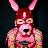 Pink latex dog